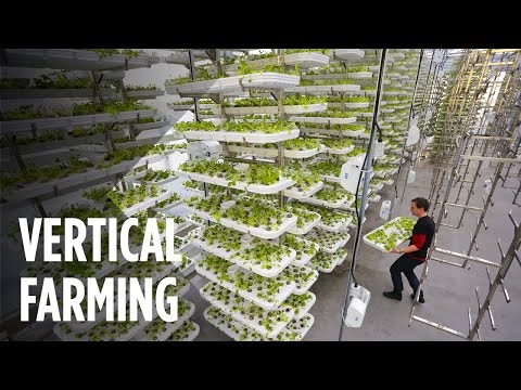 This Farm of the Future Uses No Soil and 95% Less Water