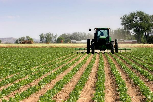 2018 tarımda inovasyon