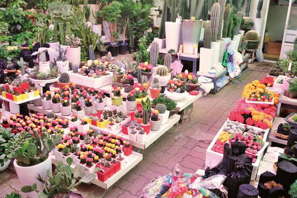büyüyen pazar çiçekçilik