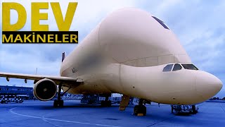 Dünyanın En Büyük Uçağı: Beluga