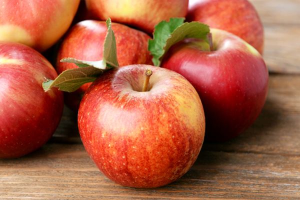 elma yetiştiriciliği iş fikri