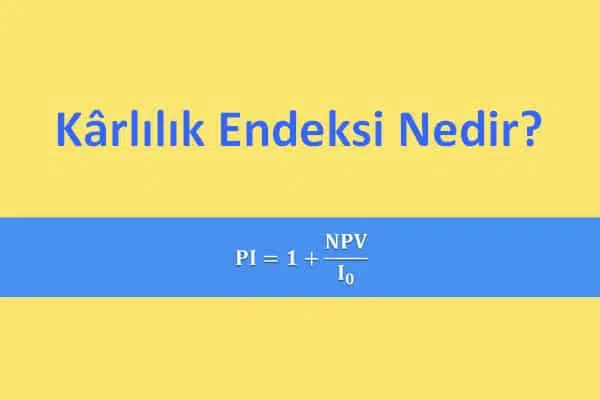Kârlılık Endeksi Nedir? Kârlılık Endeksi Nedir?