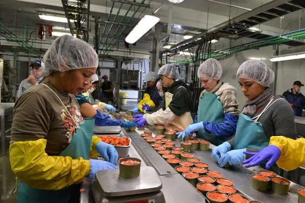 konserve fabrikası açmak iş fikri konserve fabrikası açmak iş fikri