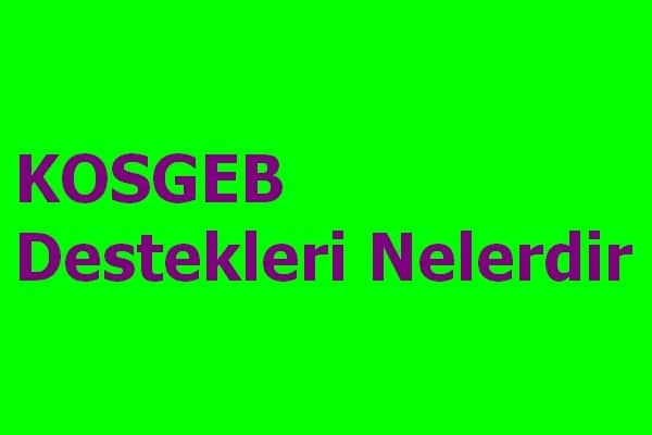 kosgeb destekleri nelerdir