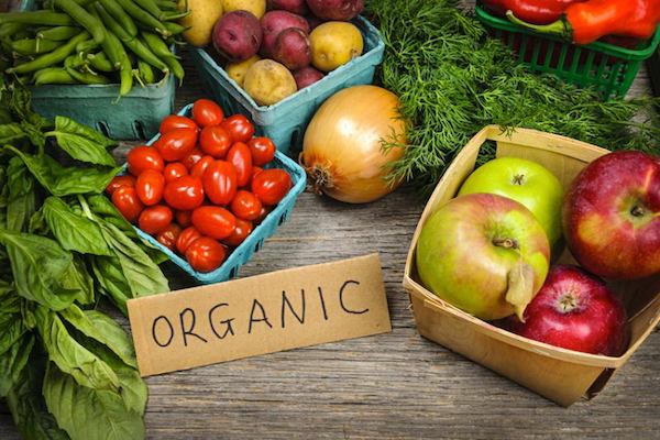organik gıda sektöründe girişimcilik