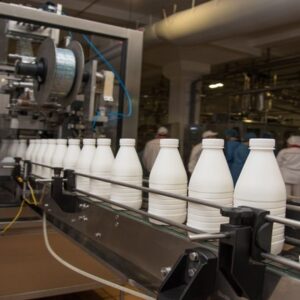 süt işleme tesisi iş planı