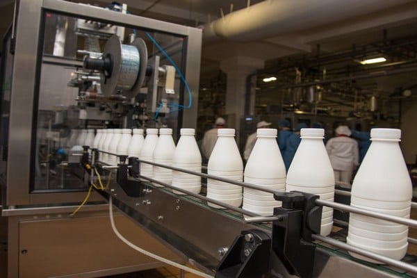 süt işleme tesisi iş planı