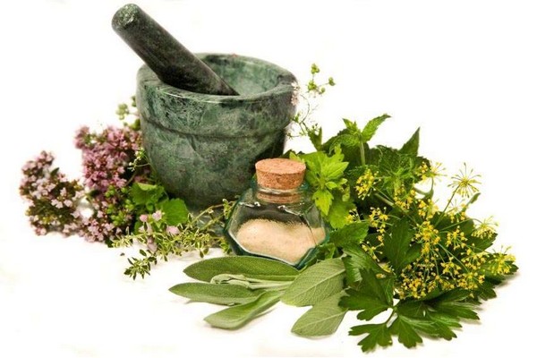 tıbbi ve aromatik bitki pazarı